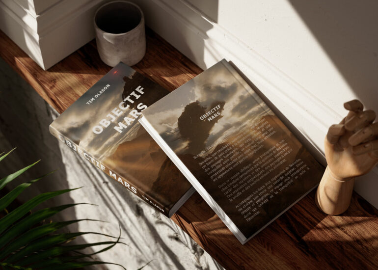 Illustration fantasy couverture de livre éditeur