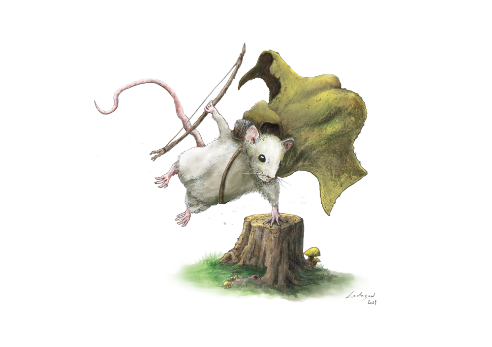souris-colo-1